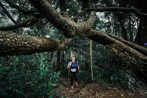 BIB: 
                            <button type="button" onclick="openModal(25705514)" class="btn btn-primary btn-sm float-right btn-popup" data-toggle="modal" data-target=".modal-high-quality">
                        <i class="fas fa-shopping-cart"></i> Add to Cart
                    </button>
                                            <button type="button" onclick="isThisMe(25705514, true)" class="btn btn-success btn-sm float-right btn-popup btn-isme hidden" data-toggle="tooltip" data-placement="bottom" title="นี่คือรูปของคุณใช่ไหม คลิกที่นี่เพื่อเอาเข้าอัลบั้ม">
                        <i class="fas fa-plus"></i> Add to album
                    </button>
                    <button type="button" onclick="isThisMe(25705514, false)" class="btn btn-warning btn-sm float-right btn-popup btn-isnotme hidden">
                        <i class="fas fa-ban"></i> Remove from album
                    </button>